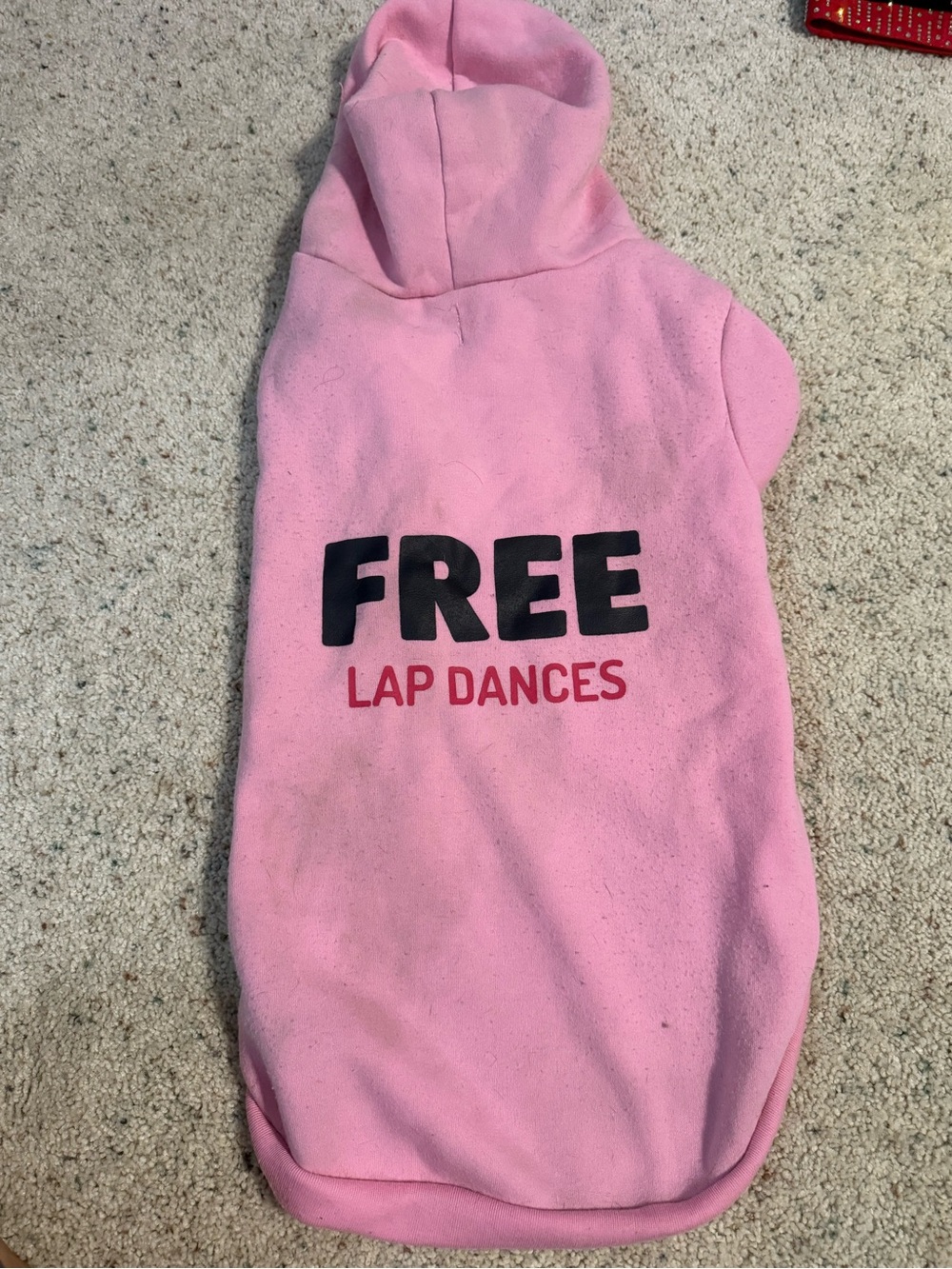 Dog seater for medium size dog. Says 'FREE LAP DANCES'